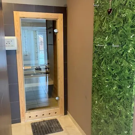 Gamsbock Koralpe Elsenbrunn