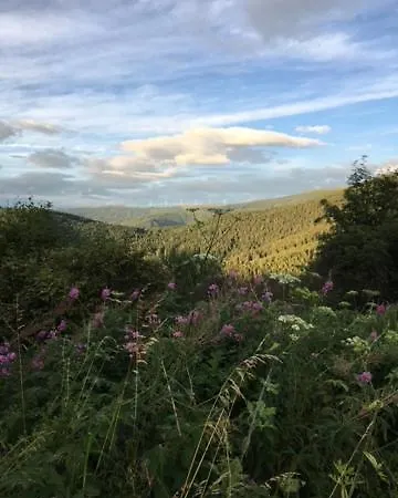 Gamsbock Koralpe Elsenbrunn