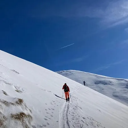 Gamsbock Koralpe Villa Elsenbrunn