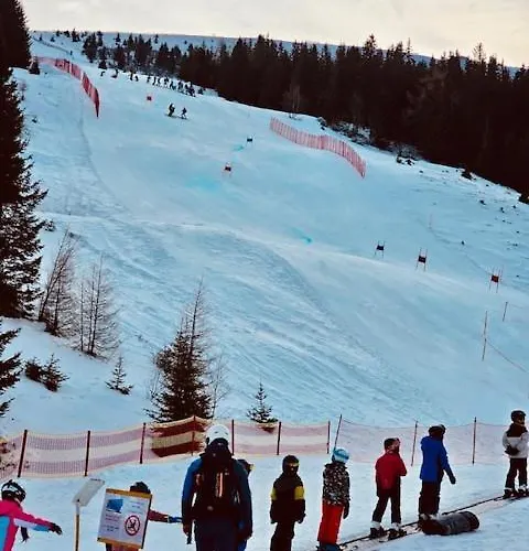 Gamsbock Koralpe Vila