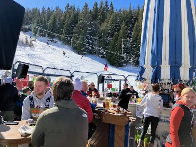 Gamsbock Koralpe * Elsenbrunn