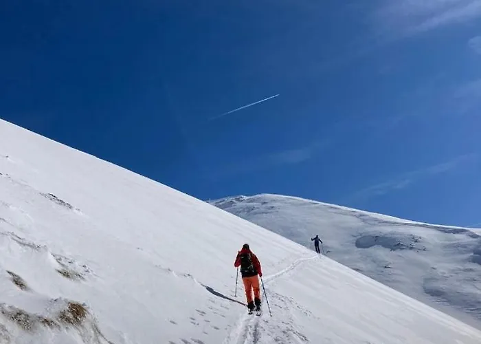 Gamsbock Koralpe Vila Elsenbrunn